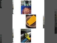 Губка Цереры